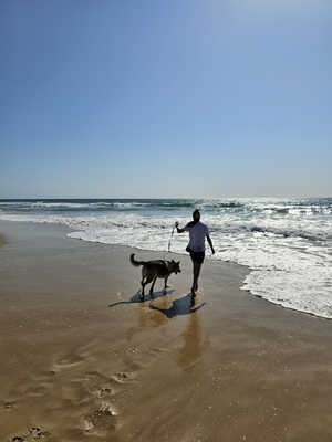 Bokarina beach