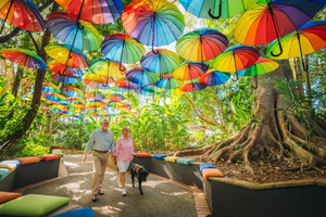 Sunshine Coast Hinterland Private Tour from Brisbane