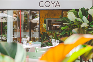 Coya