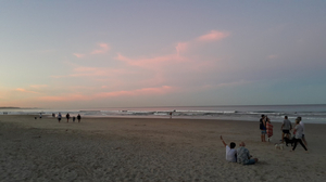 Mudjimba Surf Life Saving Club