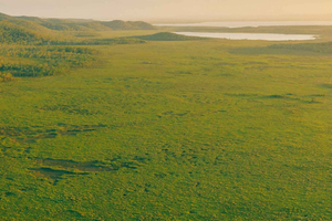 Noosa: Everglades Explorer Cruise