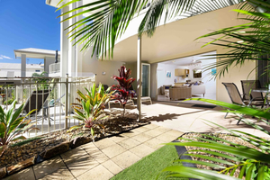 Noosa River Palms