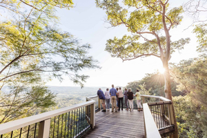 Sunshine Coast & Noosa Hinterland Scenic Culinary Experience