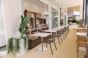 The Civic Social