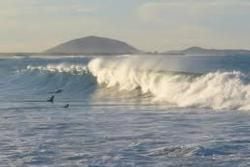 Alexandra Headland