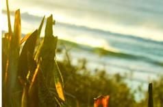 Eastern Beaches