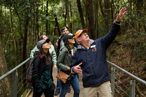 Montañas Azules: Scenic World, fauna y cascada (grupo pequeño)