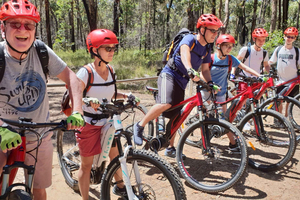 Blue Mountains: Guided Mountain e-Bike Tour, Blue Labyrinth