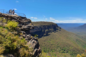 Blue Mountains Hidden Routes and Wild Kangaroos