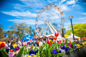 Sídney: festival de flores Floriade de Canberra y tour por el monte Ainslie