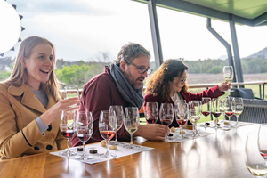 Fra Sydney: Prisbelønt Hunter Valley vin- og ostetur