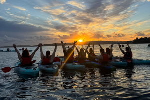 Harbour Sunset Kayak Tour