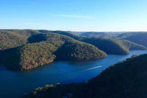 Segreti del fiume Hawkesbury: crociera ed esperienza con i koala