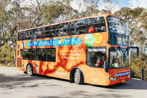 Katoomba: Lyrebird Hop-On Hop-Off og Scenic World Pass