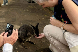 privékusttrip en Taronga Zoo-ervaring