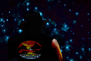Sydney : Blue Mountains Glow Worms Wild Adventure by Night (Aventure nocturne des vers luisants)