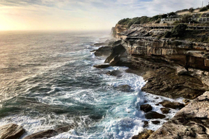 Sydney: Wędrówka z Bondi do Coogee z lunchem Ala Carte
