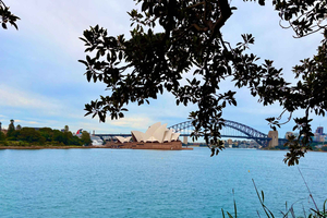 Sydney City Harbour and Coastal Adventure