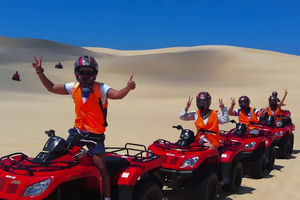 Sydney: Delfinsafari og sandboarding i Port Stephens