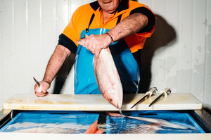 Sydney Fish Market - en rundtur bakom kulisserna