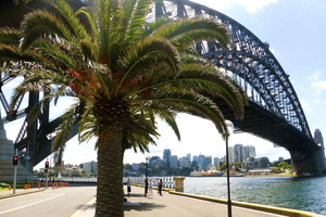 Sydney: Halvdags byrundtur