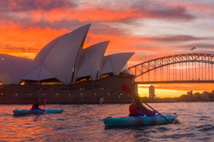 Sydney: wycieczka kajakiem o wschodzie słońca w porcie