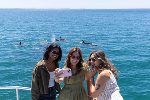 Sydney: Delfinbeobachtung in der Jervis Bay und Kiama Blowhole Tour
