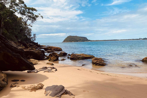 Sydney: Ku-ring-gai National Park Hike with swim and picnic