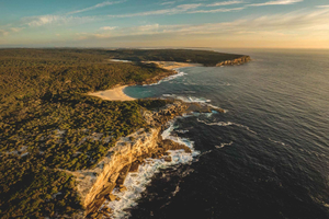 Sydney: Dagsutflykt till Royal National Park med vandring, picknick och bad
