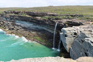 Sydney: Royal National Park private day tour