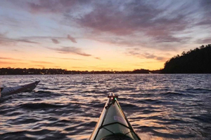 Sydney: Sunset Kayak Tour with Views of the Opera House