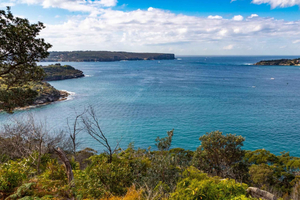 Sydney: Taronga Zoo til Balmoral Walk med à la carte-lunsj