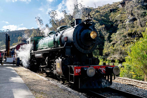 Sydney: Zig Zag Railway & Ultimate Blue Mountains Adventure