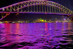 VIVID 4-Hour Private Cruise with BBQ and Drinks