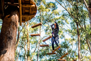 Sydney Ouest : Parcours d'accrobranche