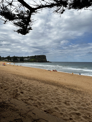 Avalon Beach RSL Club