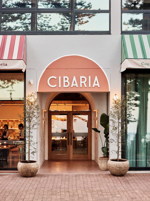 Cibaria Manly