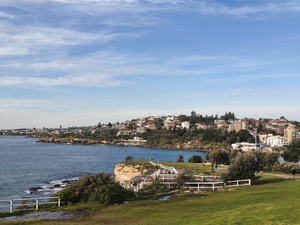 Clovelly Beach