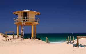 Elouera Surf Life Saving Club