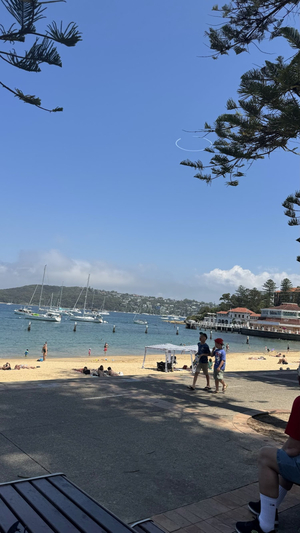 Manly Cove Netted Beach