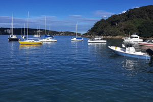 Winter Wildlife Encounters: Unique Animal Experiences in Sydney