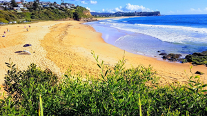Warriewood Surf Life Saving Club