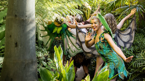 Tinkerbell and the Dream Fairies