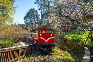 From Taipei: Alishan 2 Days Private Tour