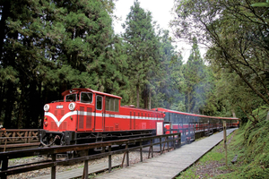From Taipei - Private 3-Day Tour to Sun Moon Lake and Alishan