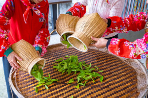 Tour privado de 1 día a Yilan desde Taipéi: té, naturaleza y arte