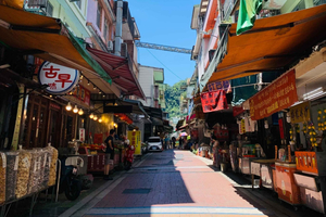 Taipei: 8 Hours Private Day Tour in Wulai with Benz Vito