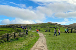 Taipei: Heldagstur til Yangmingshan og Beitou