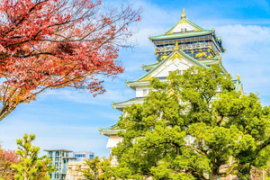 Tokyo City One Day Private Customizable Scenic Tour