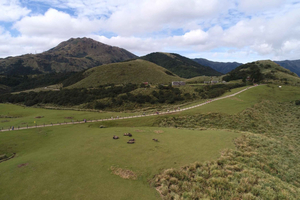 Taipéi: tour de 1 día a Yangmingshan y al Museo del Palacio Nacional